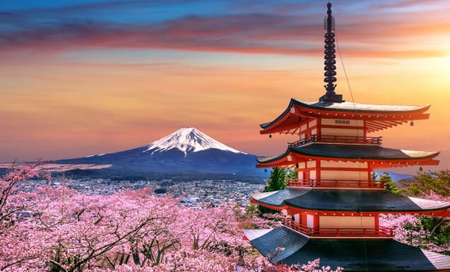 How to Score Luxury Hotel Stays on a Budget: Insider Tips Revealed